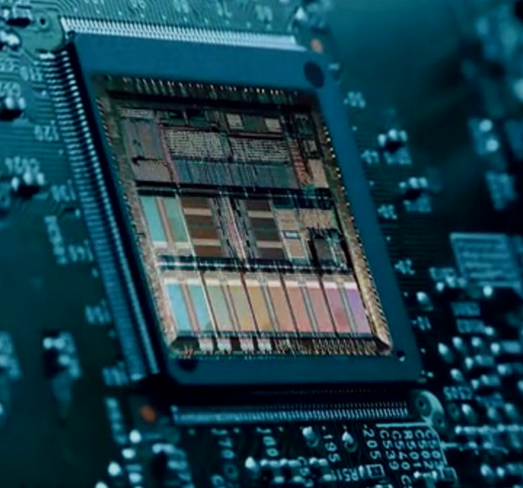 欧美三根一起进三P